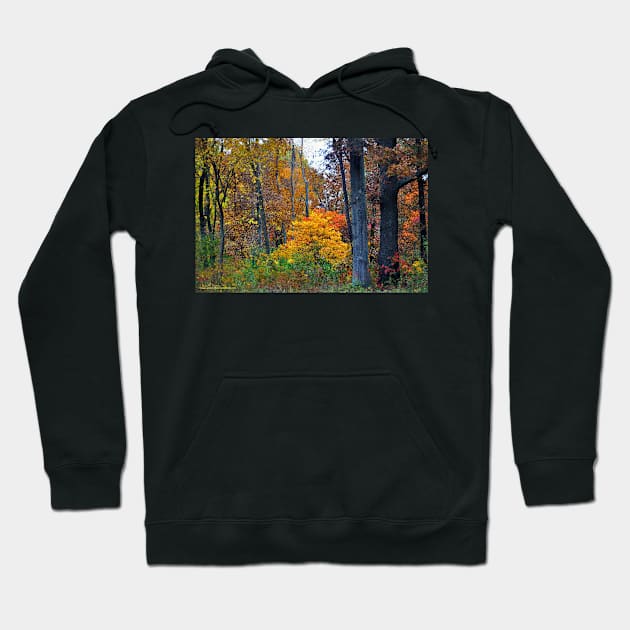 Woodland Tapistry Hoodie by michaelasamples